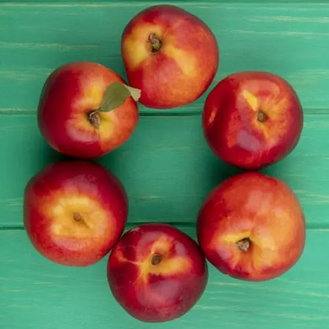 Organic Amish Peaches
