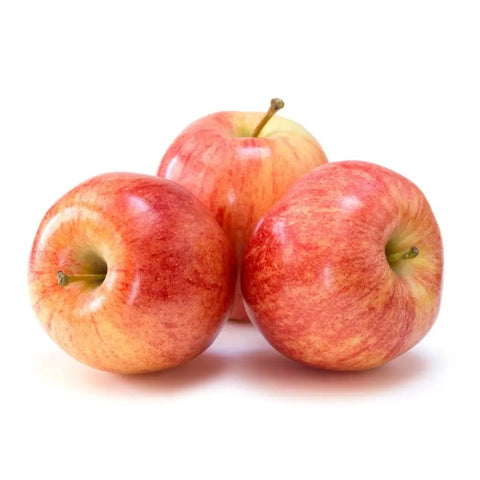 Organic Amish Gala Apples – 1 lb