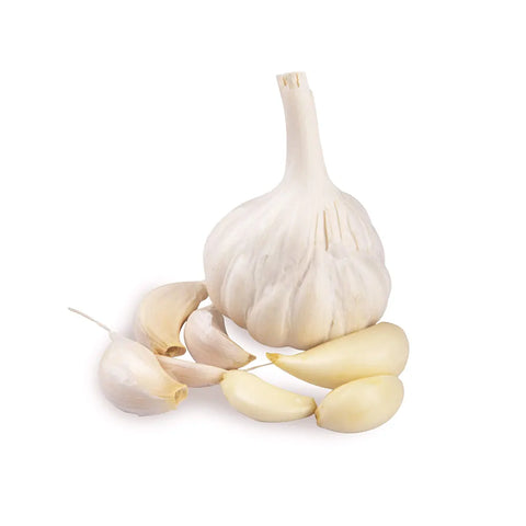 Organic Amish Garlic – 1 lb