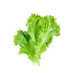 Lettuce (Each)