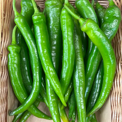 Long Hot Pepper 1P