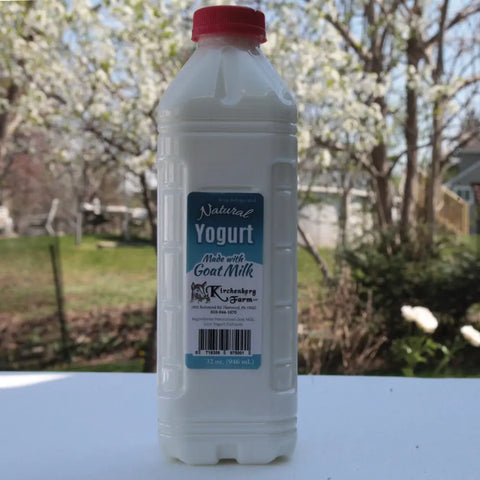 Amish Goat Milk Yogurt – 32 oz | Probiotic-Rich & Fresh