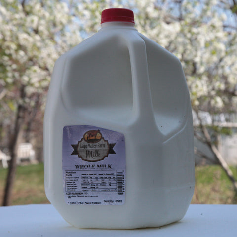 Organic Amish Whole Milk – 1 Gallon | Fresh & Rich