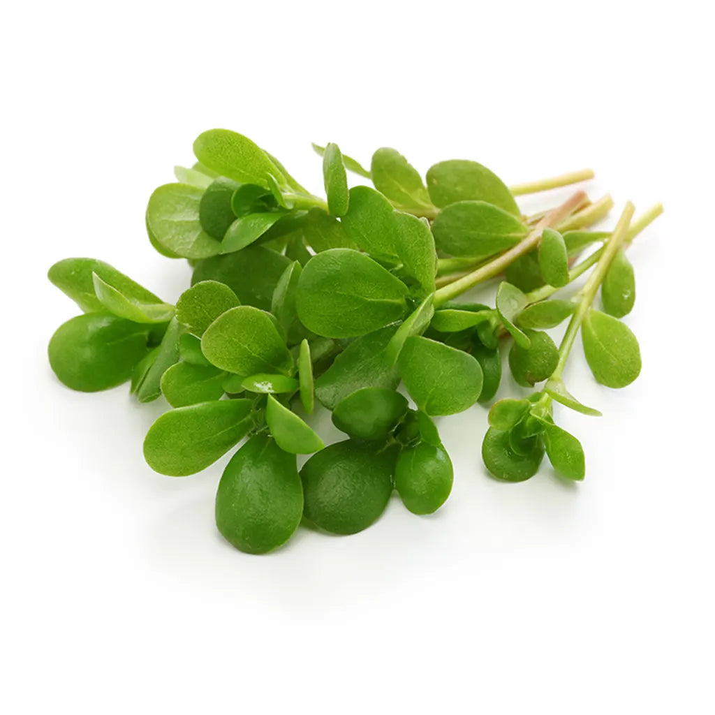 Purslane - Bunch