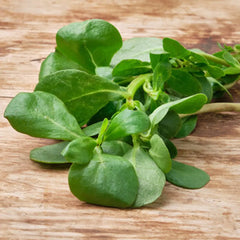 Purslane - Bunch