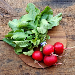 Radish (Bunch)