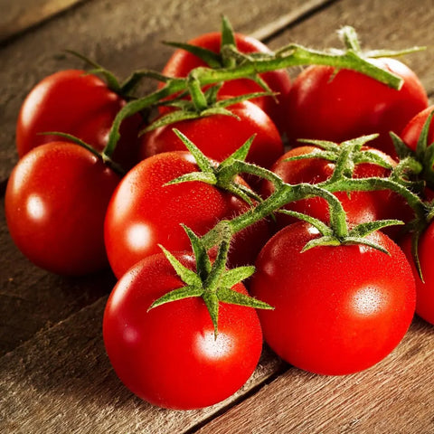 Organic Amish Tomatoes – 3 lb